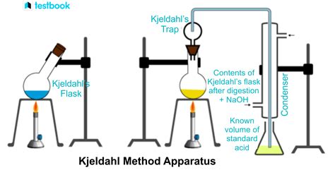 Kjeldahl Apparatus Brand manufacturer|estimation of nitrogen by kjeldahl method.